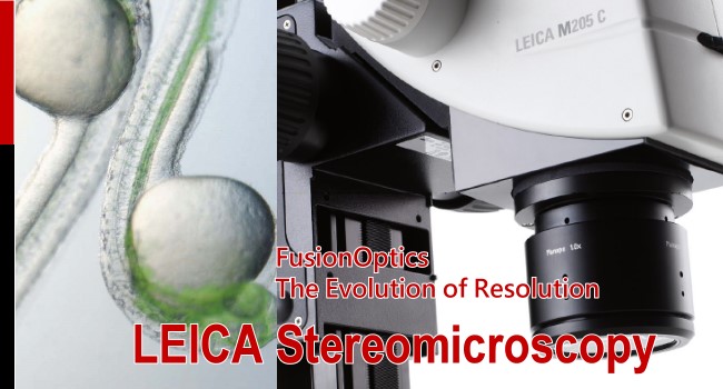 LEICA Solid Microscope