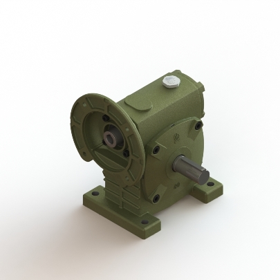 Worm Gear Reducer-PAE