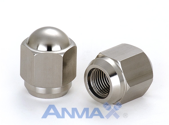 Stainless Steel Nut-SS0102